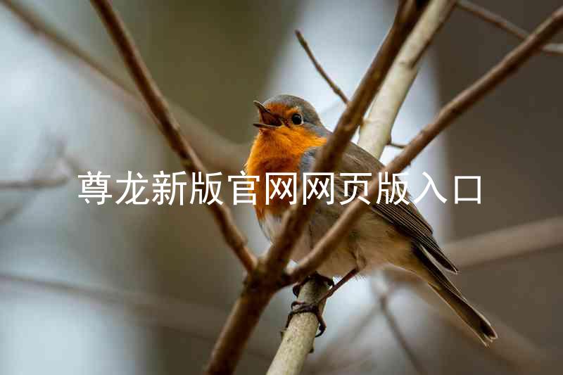尊龙新版官网网页版入口